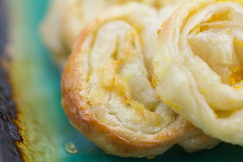 Citrus Palmiers