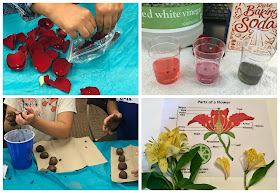 Flower STEM activities, 