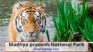 मध्य प्रदेश राष्ट्रीय उद्यान : mp national park list in hindi