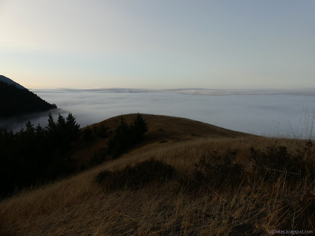 fog filling in the canyons