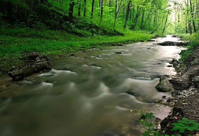 natural beauty in green color