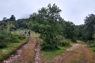 Langa, paso alambrada