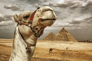 Giza Tours from Alexandria 