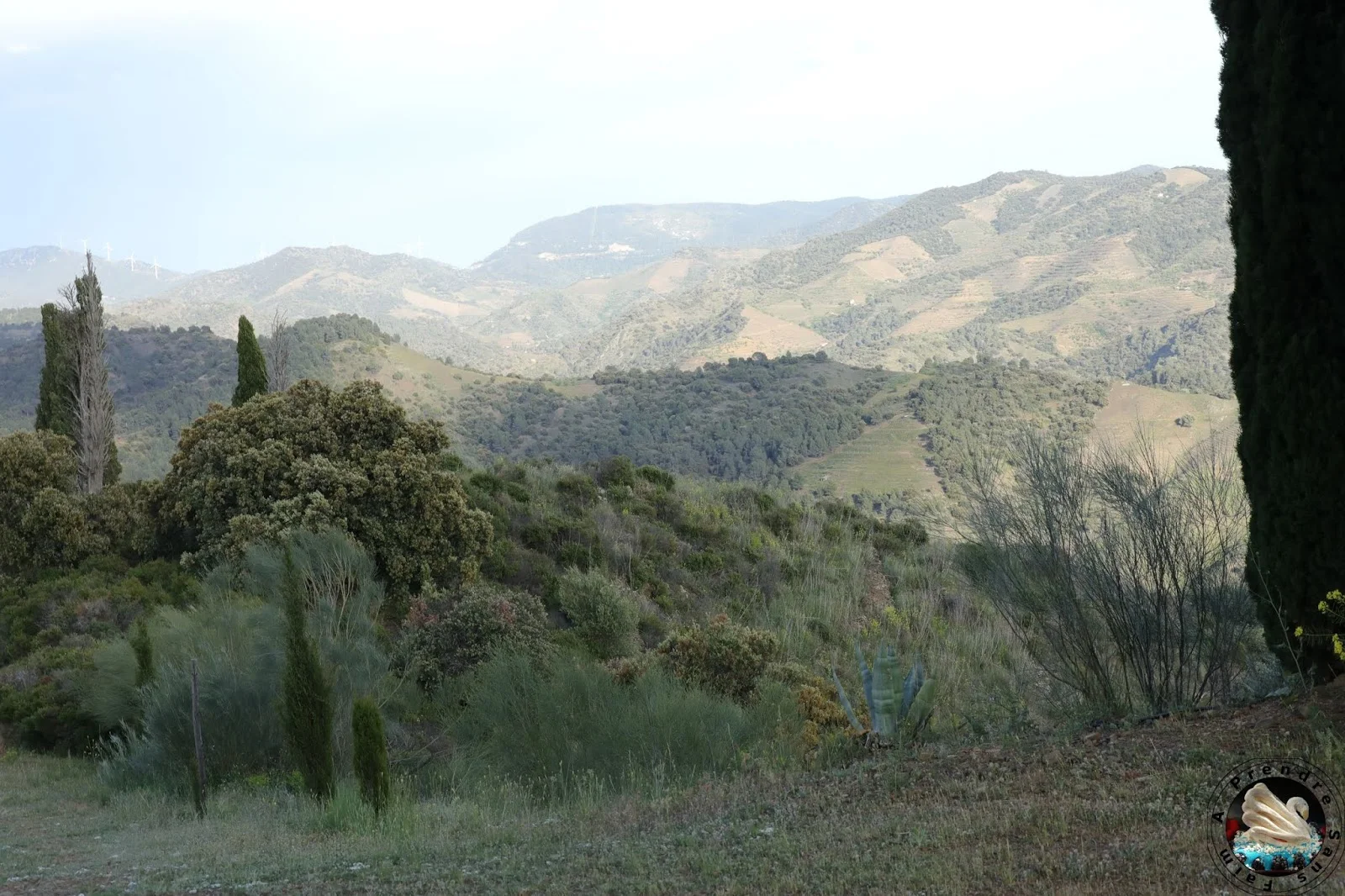 Le vignoble d'Alvaro Palacios : admirer les paysages à l'origine de son vin L'Ermita