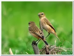 20131018_131034_125_TianLiaoyang