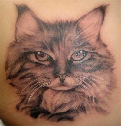 Tattoo Cat