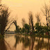 Mustafa Abad Canal