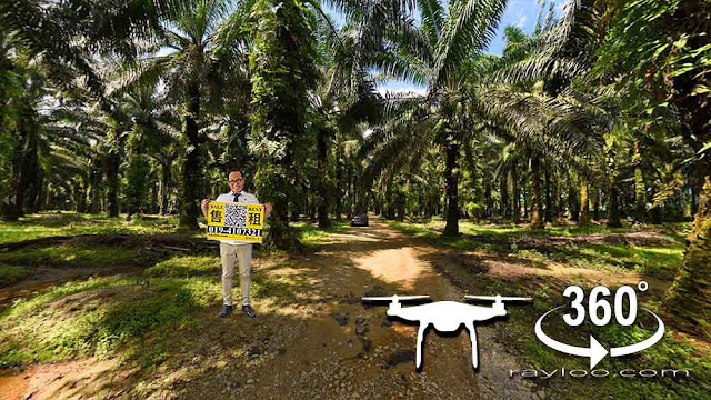 Bukit Teh Machang Bubok Palm Oil Land By Penang Raymond Loo 019-4107321