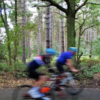 Clumber