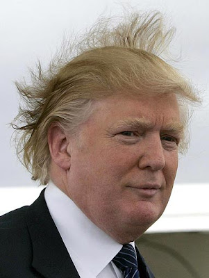 donald trump younger years. donald trump hair blowing in