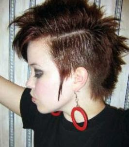 Girl's Punk Hairstyles