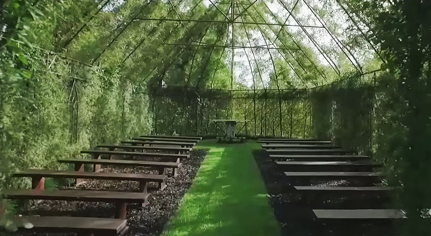 This Man Spent 4-Years Growing A Living Church Out Of Trees In His Backyard. The Results Will Blow You Away.