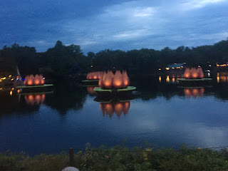 Rivers of Light Set Up Disney's Animal Kingdom