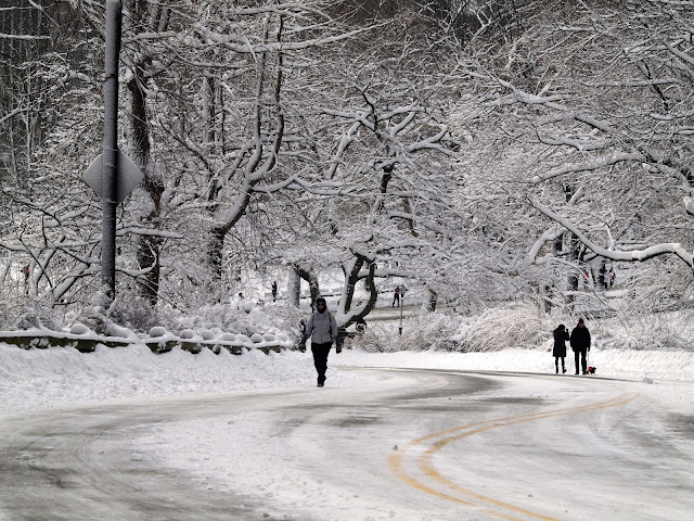 New Yorkers exiting Central Park after enjoying a walk in Nemo's snow