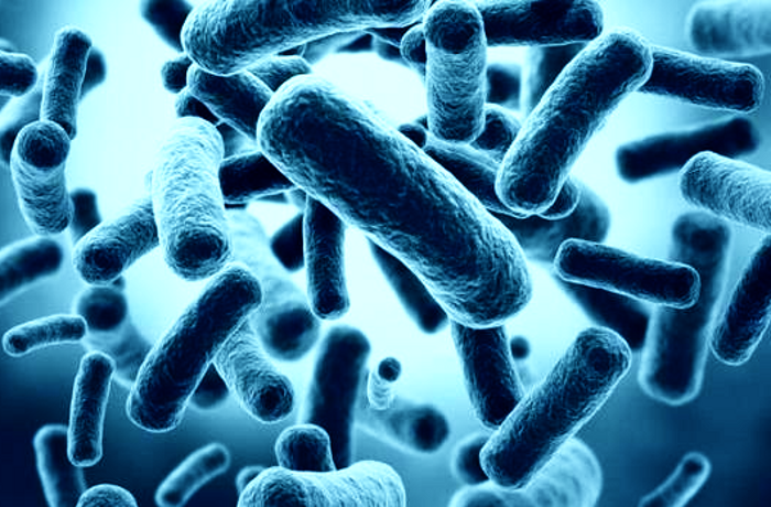 Ini Dia 9 Bakteri  Paling Berbahaya Bagi Manusia