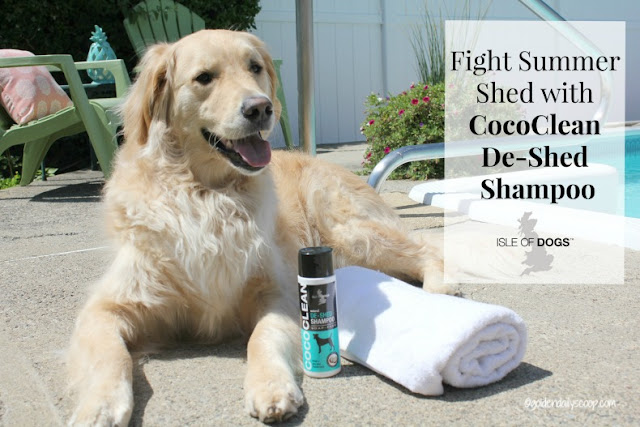 grooming products for golden retriever dogs to help shedding