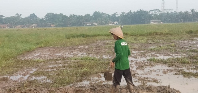 Petani Binaan LPEM BAZNAS di Kab. Serang Bersiap Lakukan Musim Tanam Kedua