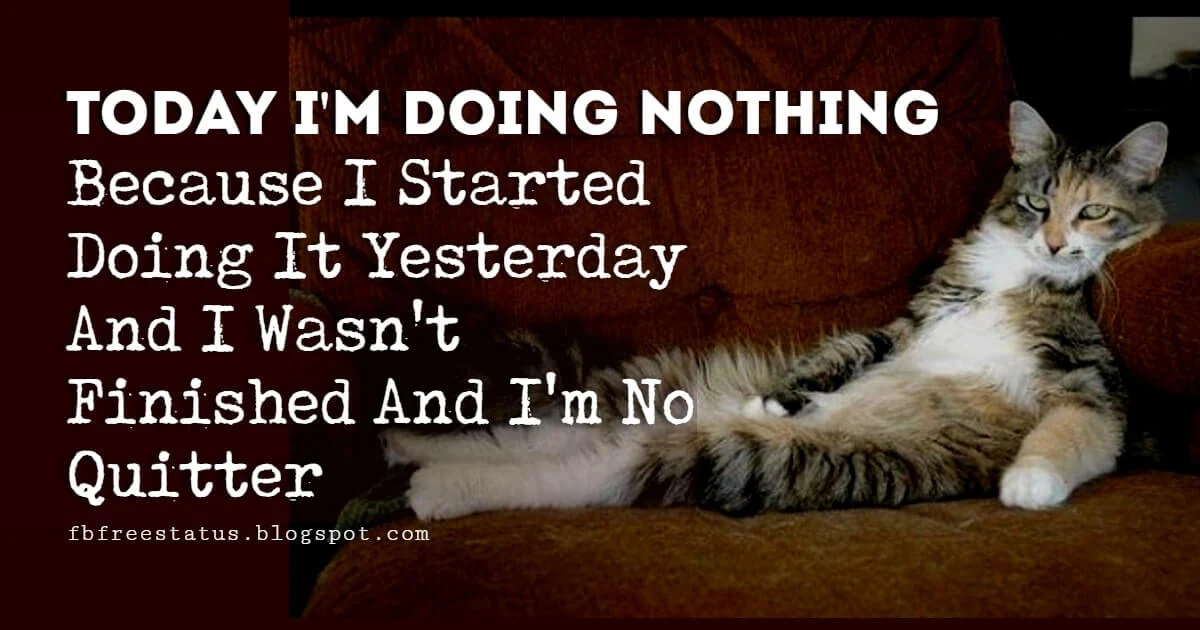 weekend memes weekend memes, Today I'm Doing Nothing Because I Started Doing It Yesterday And I Wasn't Finished And I'm No Quitter