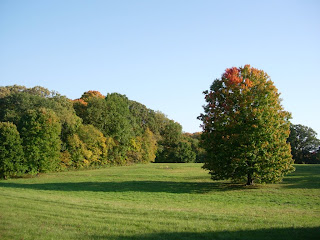 Morton Arboretum, Chicago