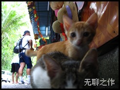 Picture 042