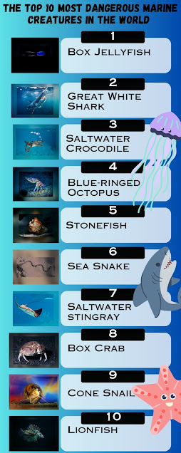 This is an infographic consisting of the top 10 most dangerous marine creatures in the world