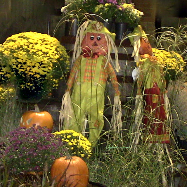 Fall Harvest Displays