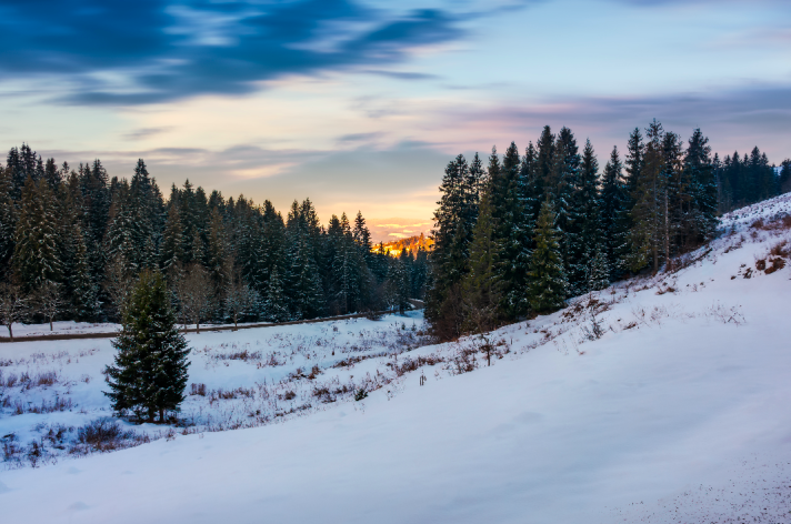 snow covered field