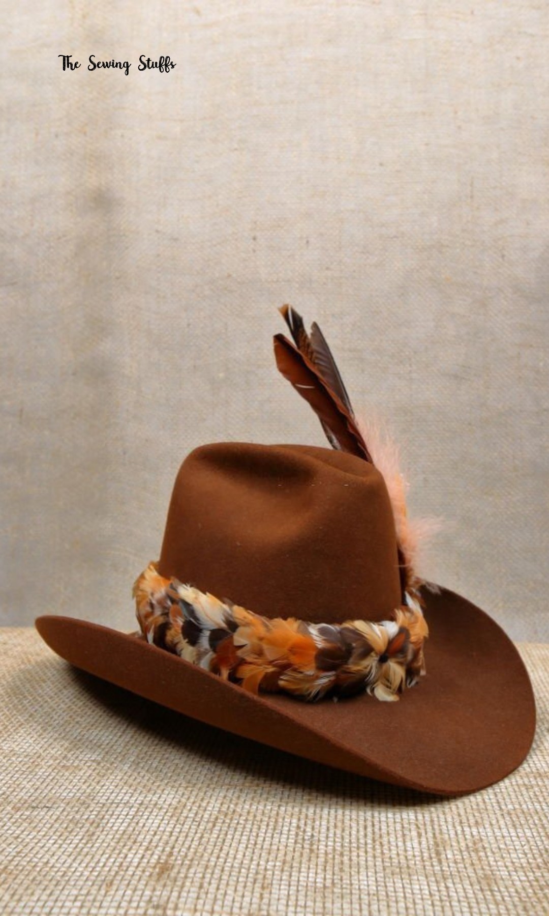 Feathers on a Cowboy Hat