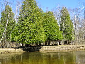 Pere Marquette River