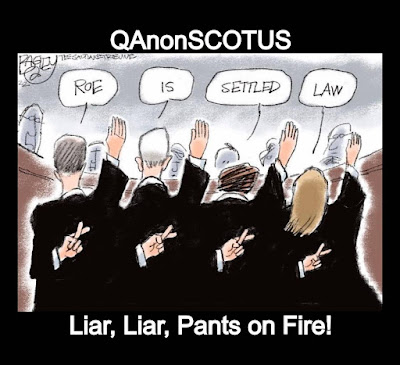 QAnonSCOTUS - Liar, Liar, Pants on Fire! meme gvan42