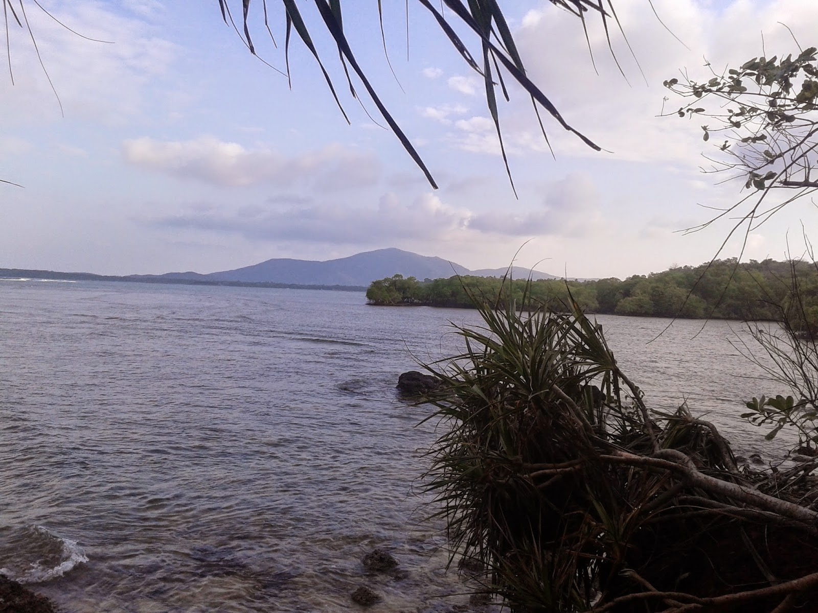 Sepanjang menyusuri rute pertama di Tracking Ujung Batulawang, Karimunjawa