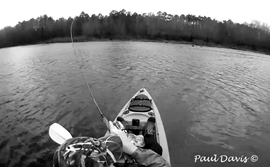 Palmetto Kayak Fishing: An Unlikely Winner: Zebco's Omniflex