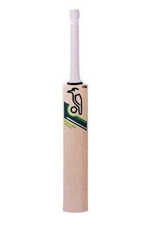 Top 7 best cricket bats - March 2020 reviews and comparison 