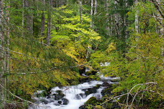 Hamma Hamma Falls, Hamma Hamma, Jefferson Creek, Olympic National Park