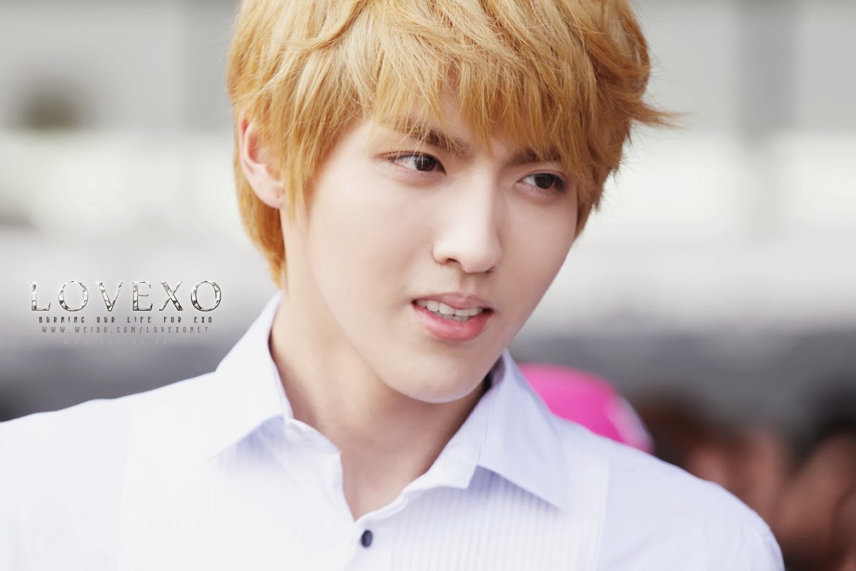 Saranghae Exo Kris Exo M Is My Bias