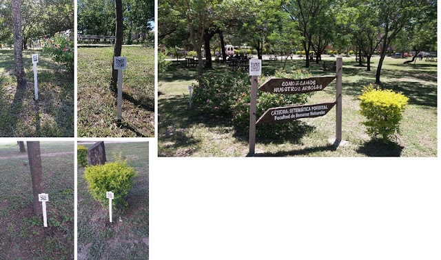 Imágenes del Arboretum con QR 