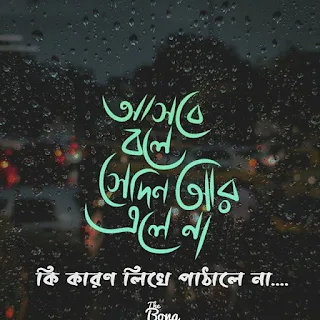 লাভ পিকচার লেখা