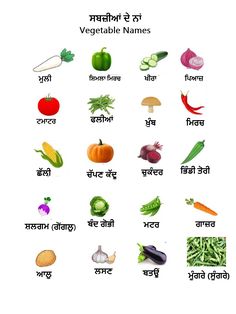 Vegetables Names in Pinjabi with Picture