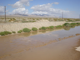 Rare desert reflections