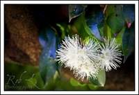 IMG_0505
