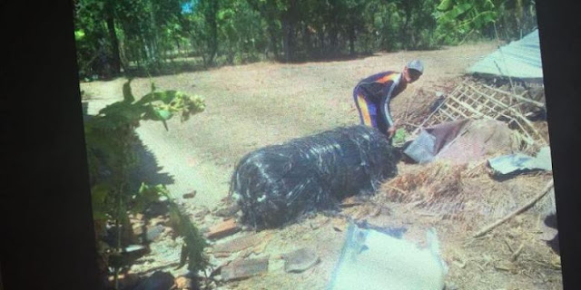 Benda Misterius Jatuh dari Langit Timpa Kandang Milik Warga