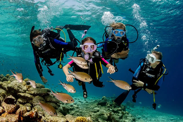 2. Scuba diving on the coast of Sal  in Cape Verde