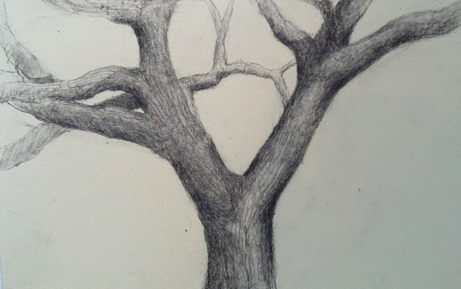 Lolly Shera Drawing  trees 