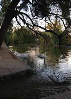 Visite du Bois de Vincennes