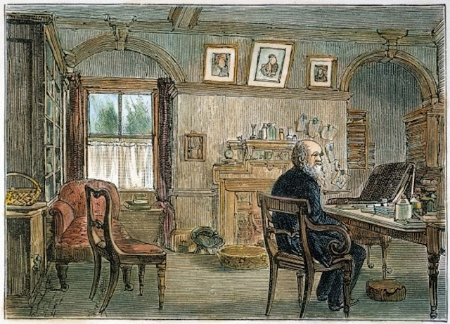 Чарльз Дарвин в кабинете своего дома в Дауне, недалеко от Бекенхема, графство Кент, Англия