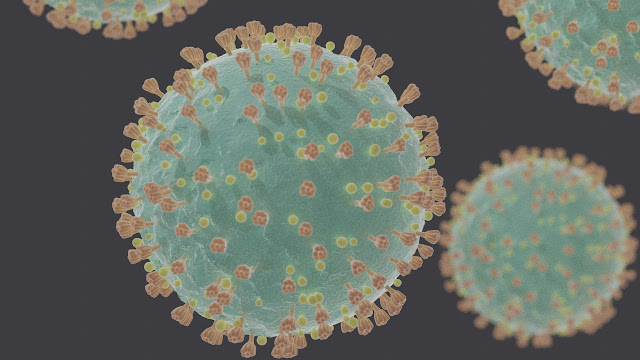 India is fighting strongly against Coronavirus