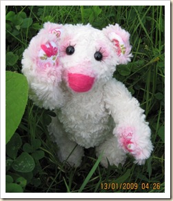 лето 2009 209