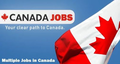 Exciting Jobs For Foreigners In Canada