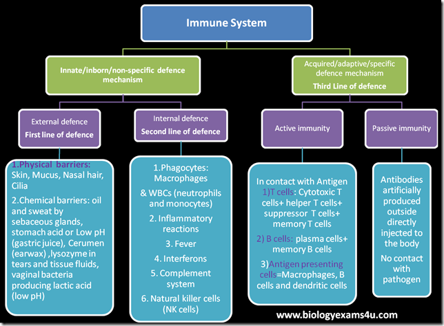 Immunology an overview