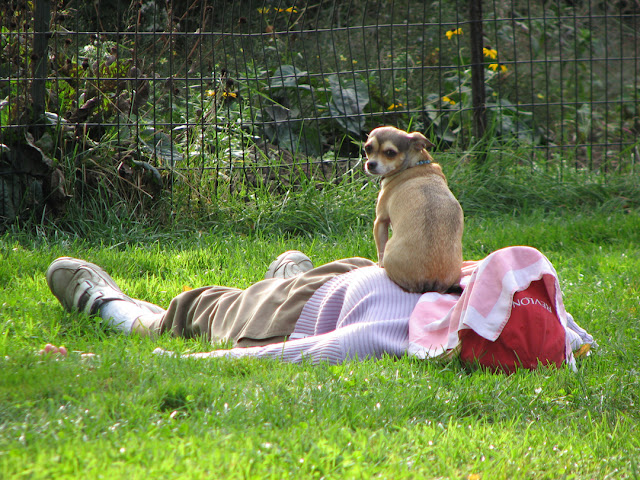 Safe sleeping in Central Park, New York